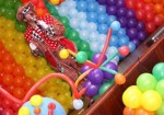 animacao-de-festa-aguas-lindas-de-goias-1385768778