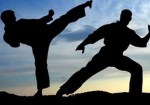 artes-marciais-aguas-lindas-de-goias-1385687039