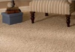 carpetes-aguas-lindas-de-goias-1385661199