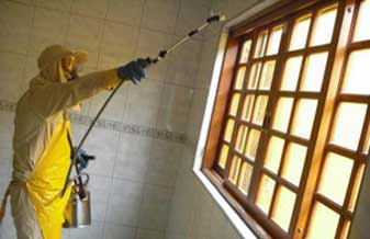 F&R Dedetizadora - Foto 1