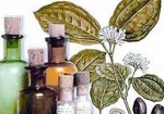 farmacias-de-homeopatia-aguas-lindas-de-goias-1385826924