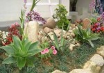 jardinagem-aguas-lindas-de-goias-1385667292