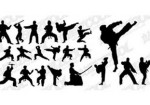 kung-fu-aguas-lindas-de-goias-1385689723