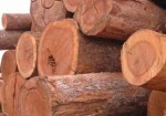 madeiras-e-madeireiras-aguas-lindas-de-goias-1385662411