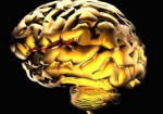 neurologia-aguas-lindas-de-goias-1385832172