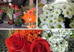 floricultura-aguas-lindas-de-goias-1385931442