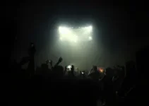 chegada de nikolas ferreira em luziânia