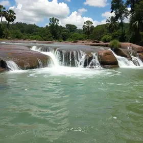 Goiás Social