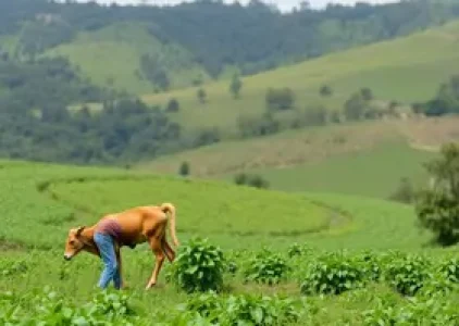 Últimas noticias de Águas Lindas de Goiás