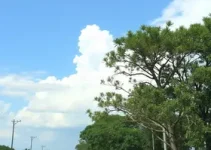 alerta amarelo Luziânia