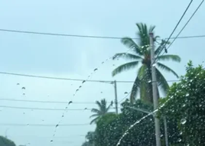 alerta amarelo