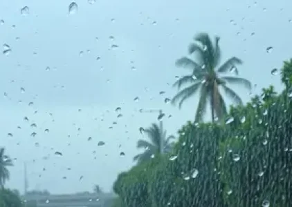 alerta amarelo